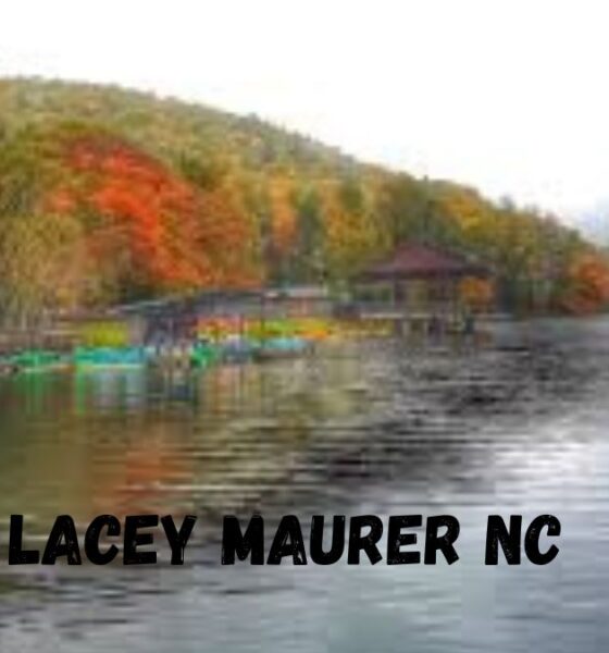 lacey maurer nc