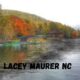 lacey maurer nc