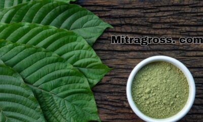 Mitragross. com