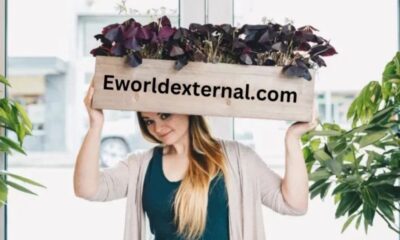 eworldexternal.com