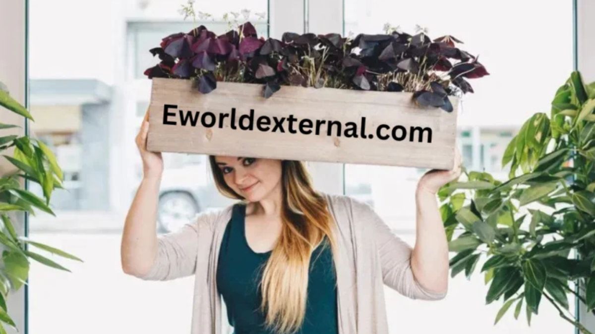 eworldexternal.com