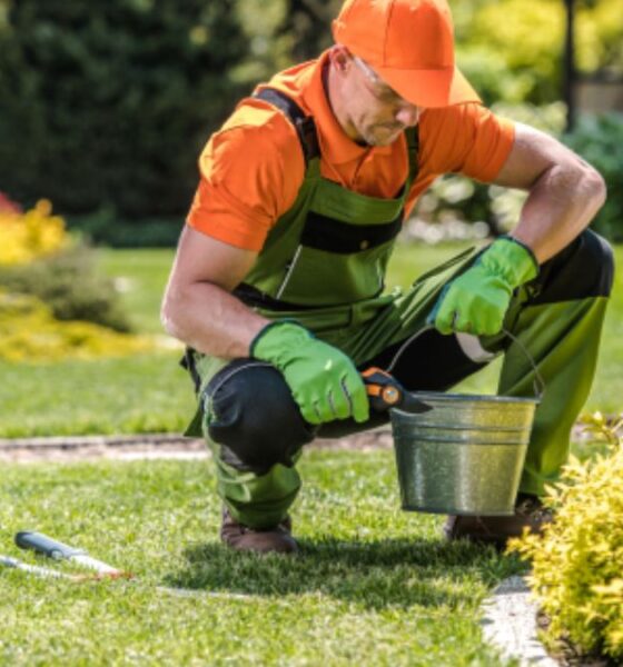 Always Green Landscaping