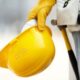 Workers' Compensation