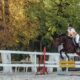 Creative Ways to Build Safer Horse Jumps for All Riders
