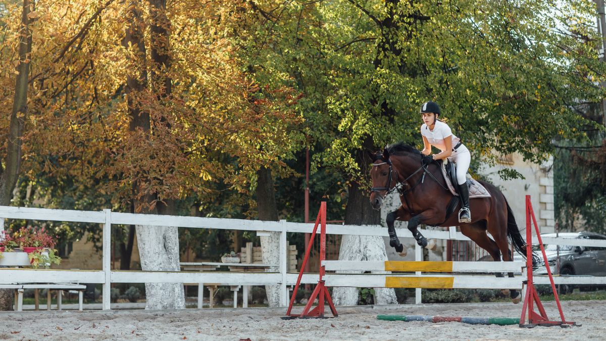 Creative Ways to Build Safer Horse Jumps for All Riders