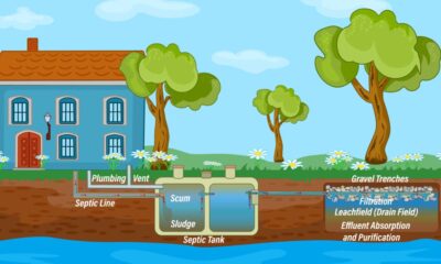 Septic